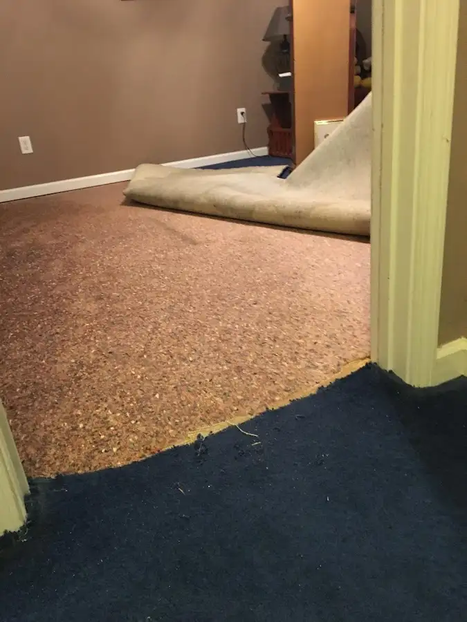 Carpet pad removal revealing water damage during Drying & Dehumidification in Sealy