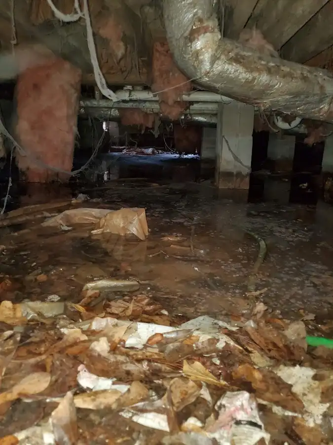 Crawl space flood assessment for Leak Detection & Repair in Sealy
